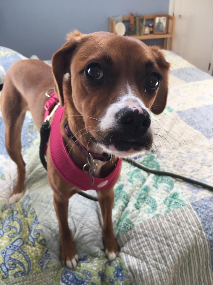 69095546_10156621771222405_1872520576149487616_n (1)