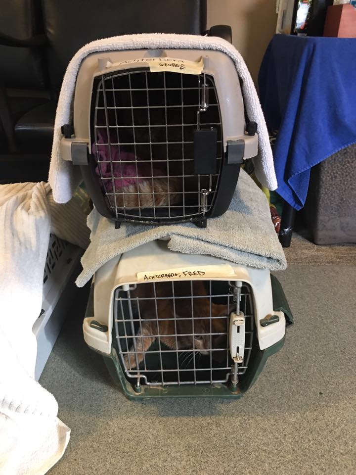 69494766_10156637001377405_681572199903002624_n