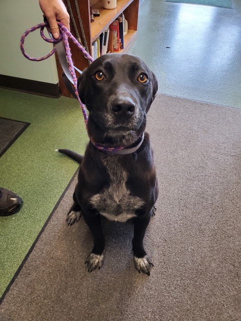 72685087_449238325942407_9133242225457627136_n