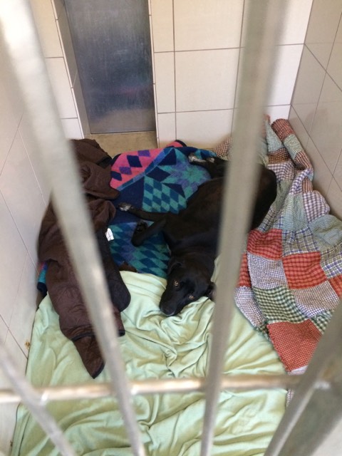 73388572_2680931925476617_7233462552737349632_n