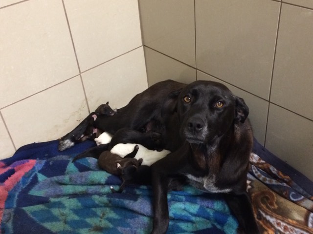 74954862_571549930079415_5528197512151695360_n