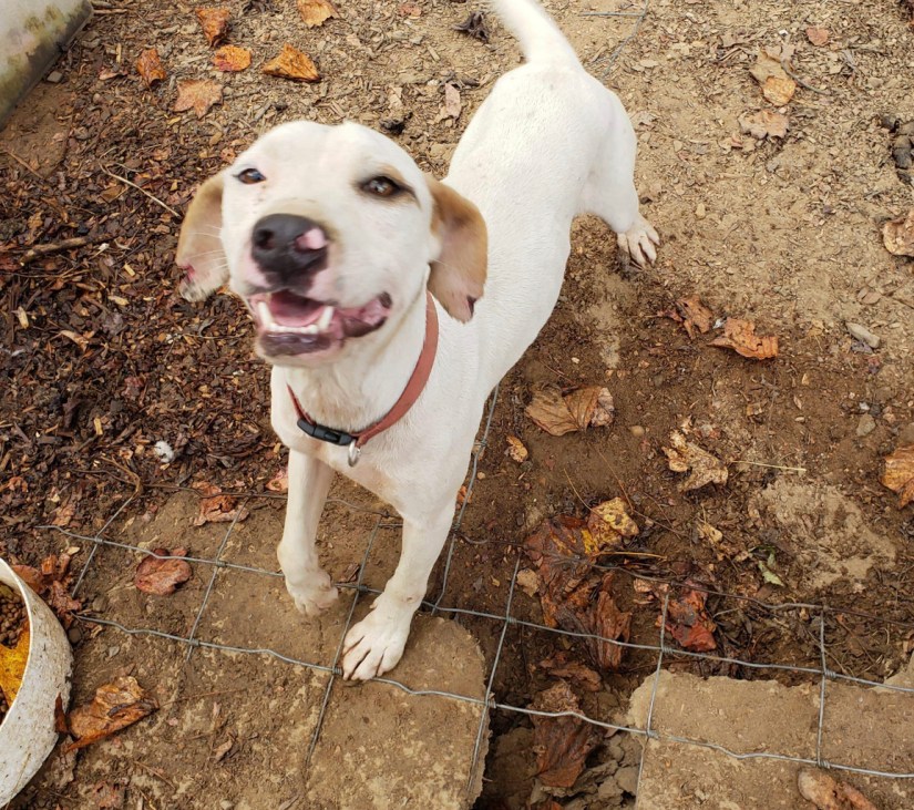 e8b5a70cb81007a03e77c0632d223d8294bcb928