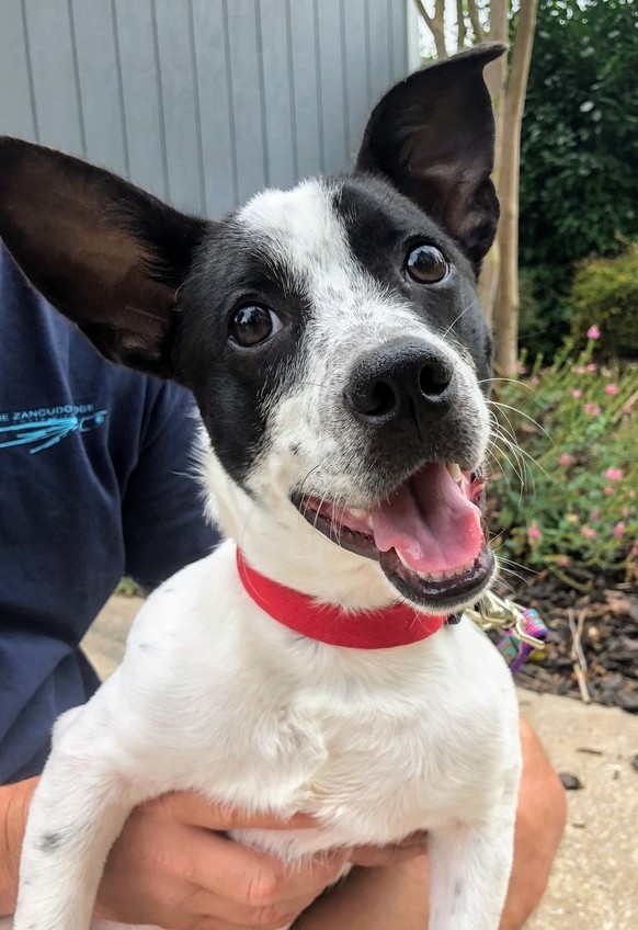 ebaec15dbbbcfcc50232724daf42c7992dbb6c94 (1)