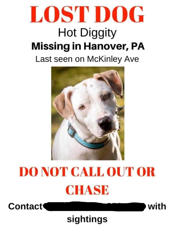 71690014_2737086109645436_3050068242115592192_n_LI