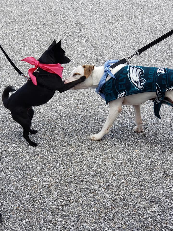 76902025_10157587356888377_1393624464150757376_n