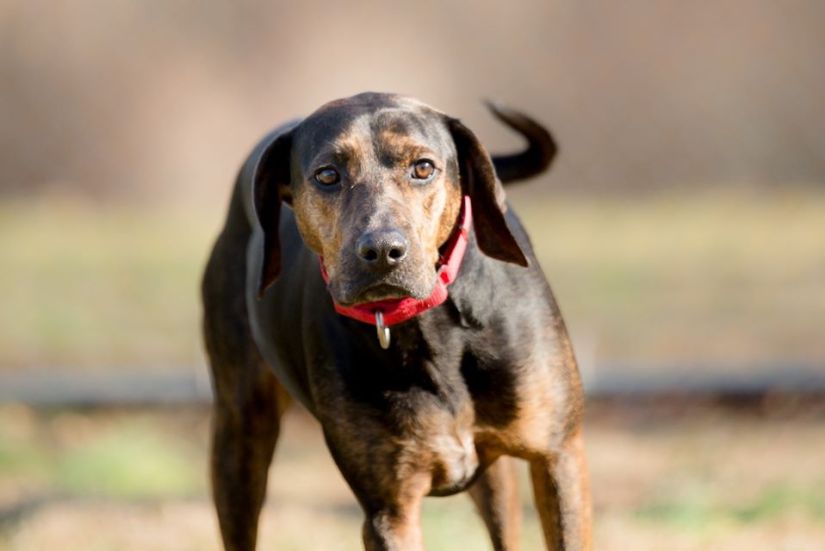 82071669_10219560440512852_5116981323004641280_o