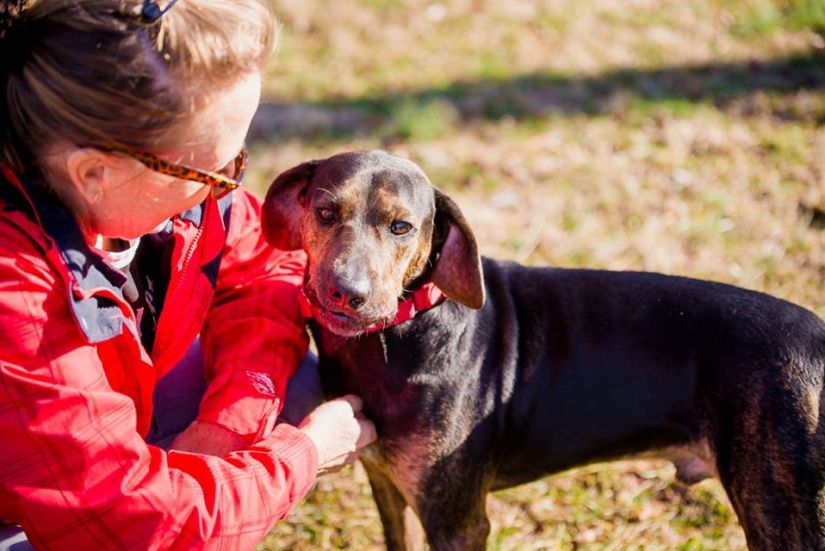 82162818_10219560436232745_6560820607749980160_o