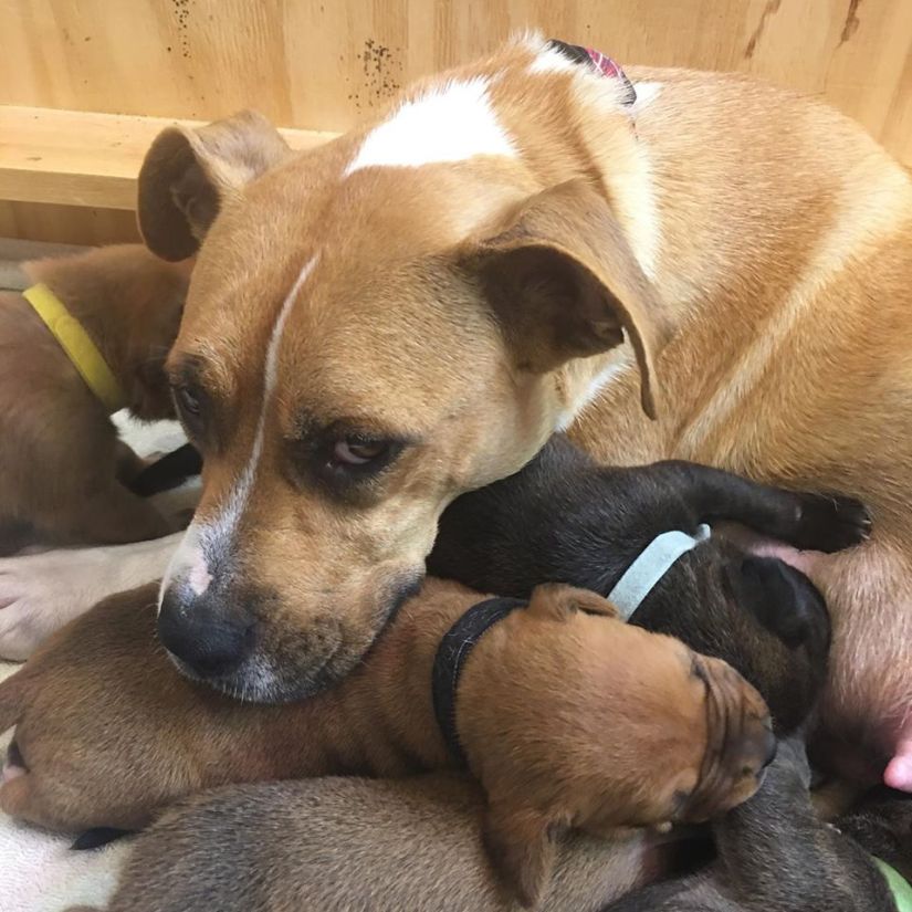 92028766_1385915931580515_6875912791702634496_o