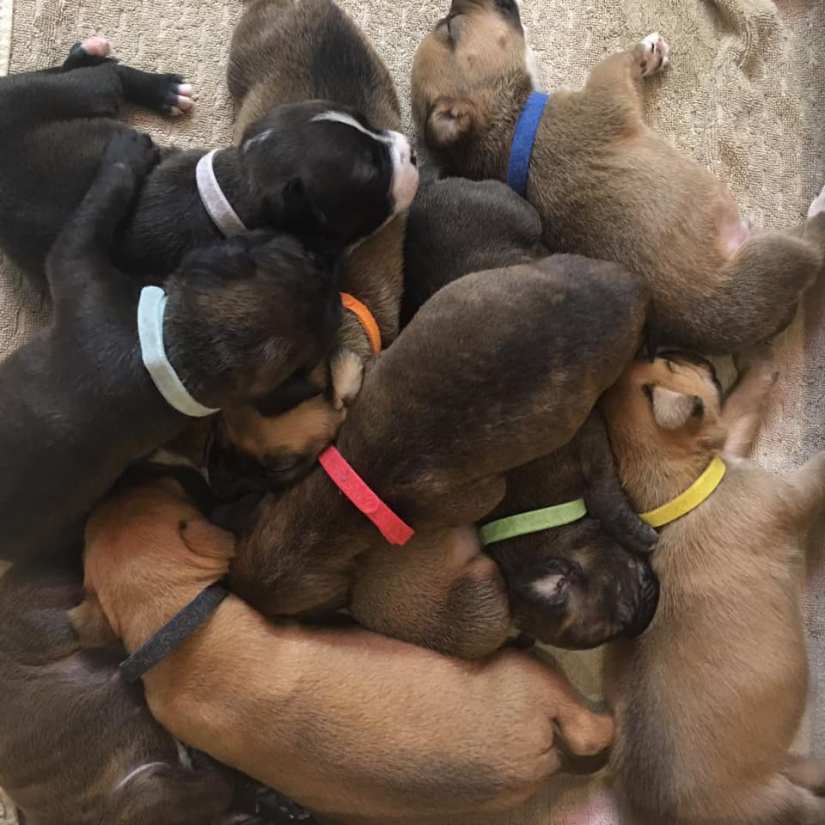 92811334_1387530191419089_6434125854271340544_n