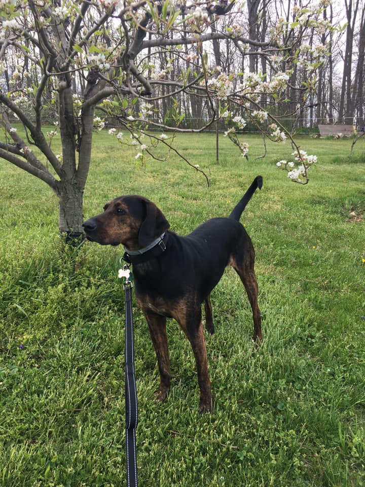 94708032_10157345516517405_6615555993092751360_n