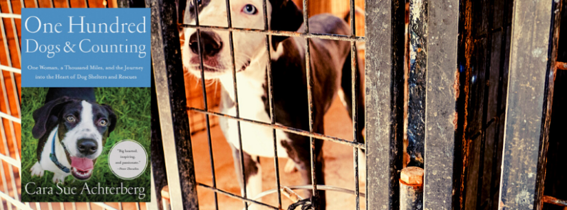 FB cover for book page