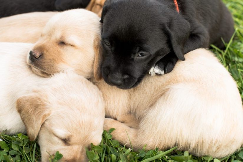 14633027_10209947830883619_572544989336738808_n