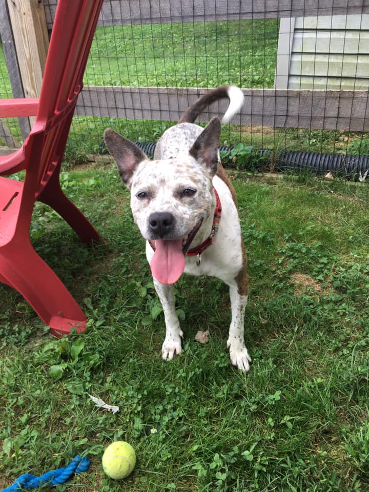 117967718_10157686800362405_2395763771416965780_n