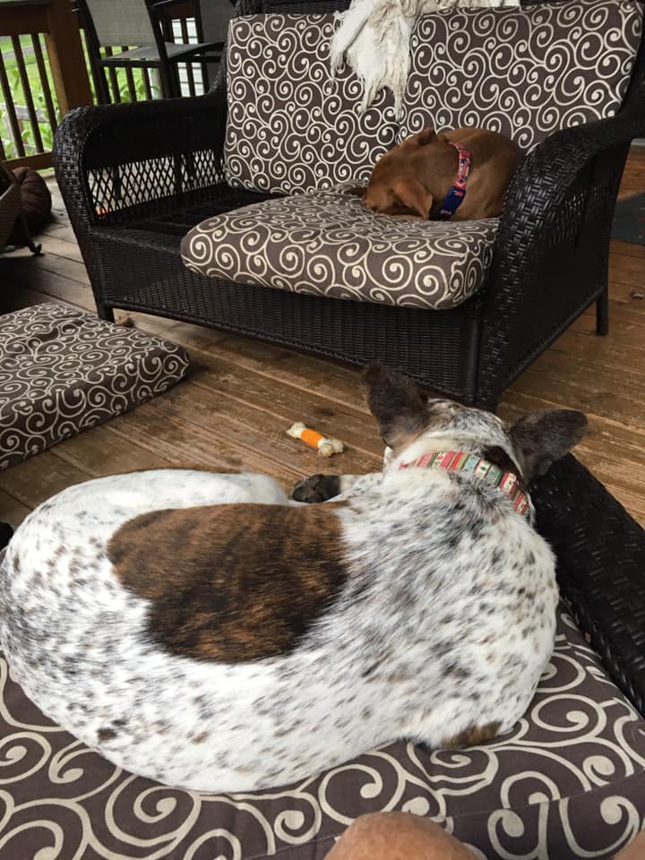 118080255_10157686800687405_4279594071427082232_n