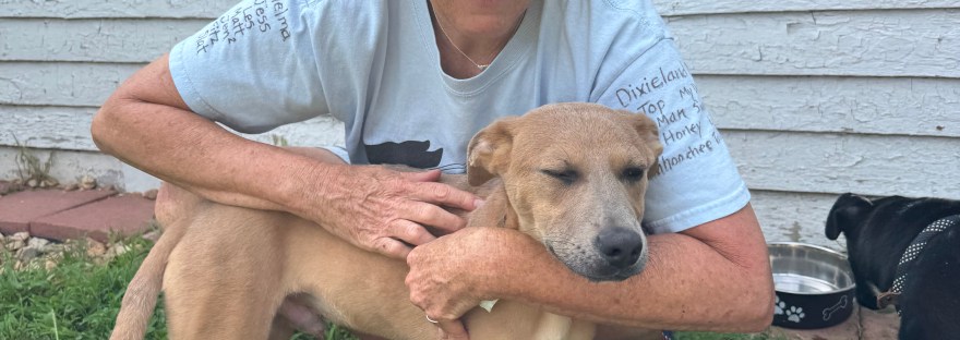 author with adoptable puppy